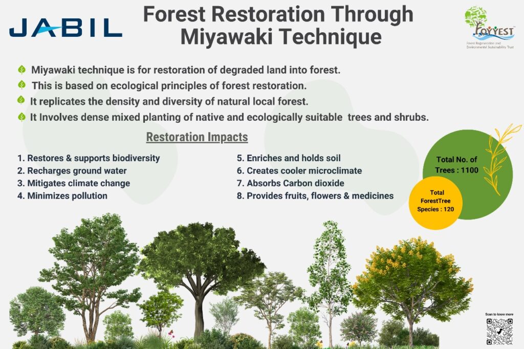 Miyawaki forest restoration at Jabil, Ranjangaon